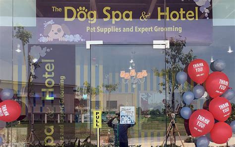 dog hotel manila|dog spa and hotel.